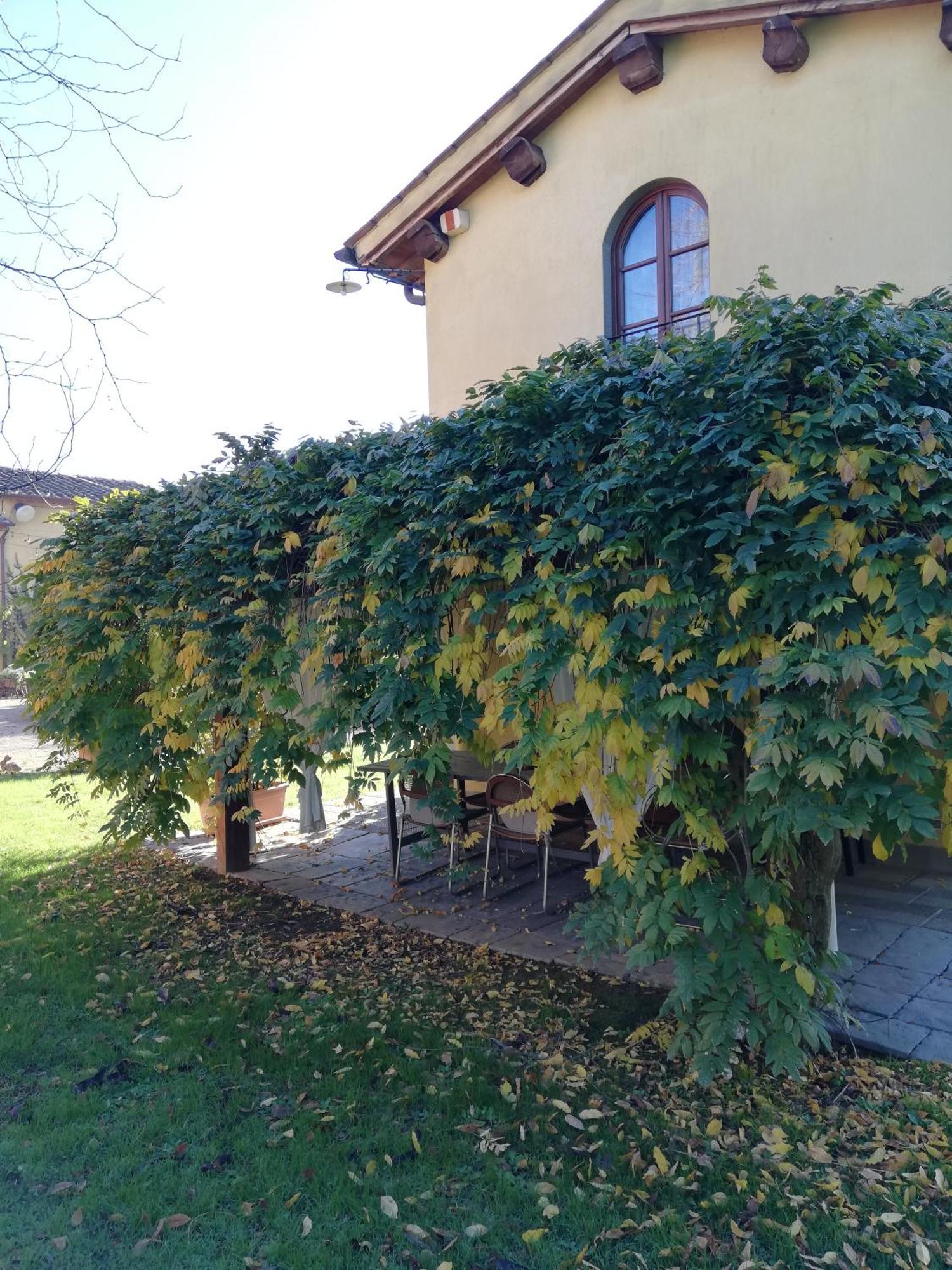 Podere Piandarca Terranuova Bracciolini Exterior foto